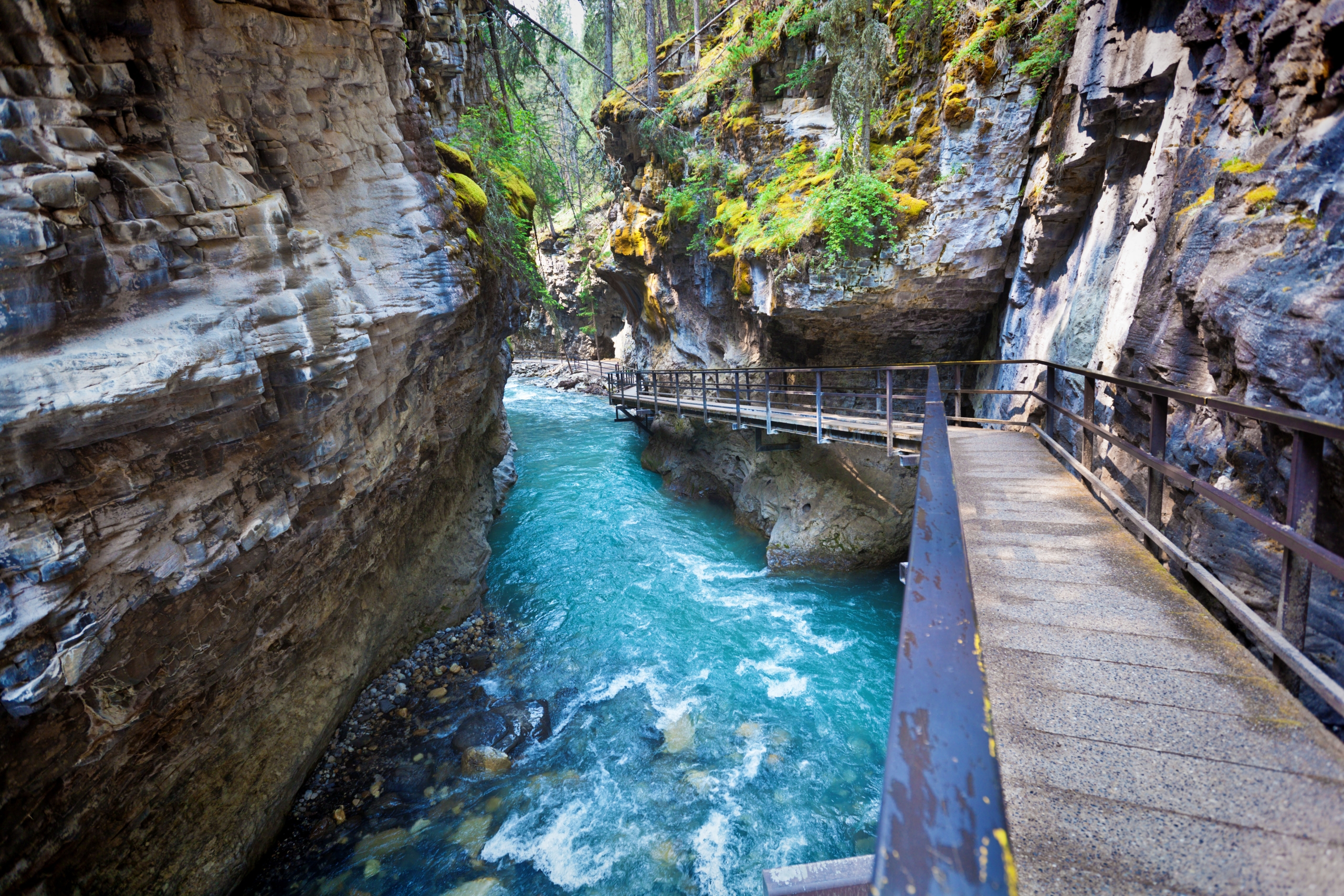 Best Hikes in Banff - Fairmont Banff Springs