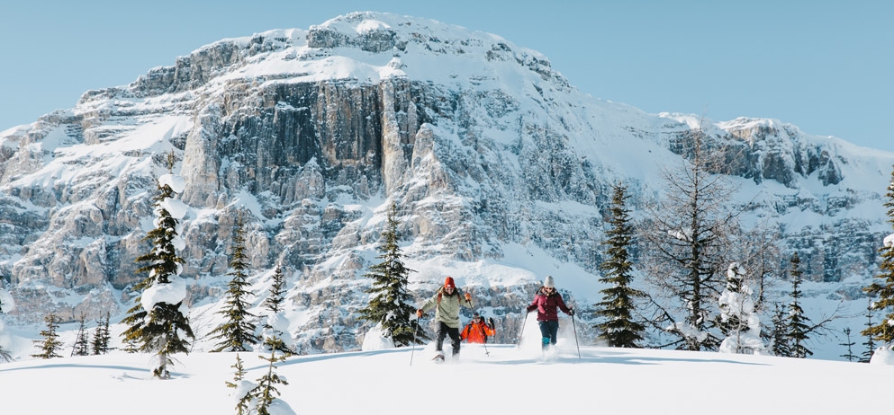 The Best Winter Activities in Banff - Fairmont Banff Springs