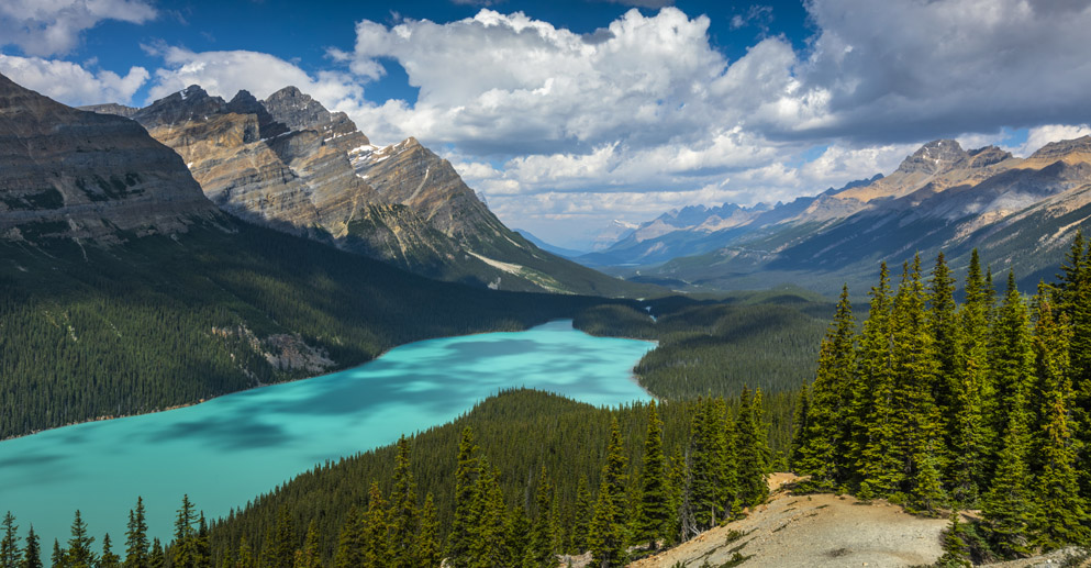 Enjoy Summer in Banff - Fairmont Banff Springs