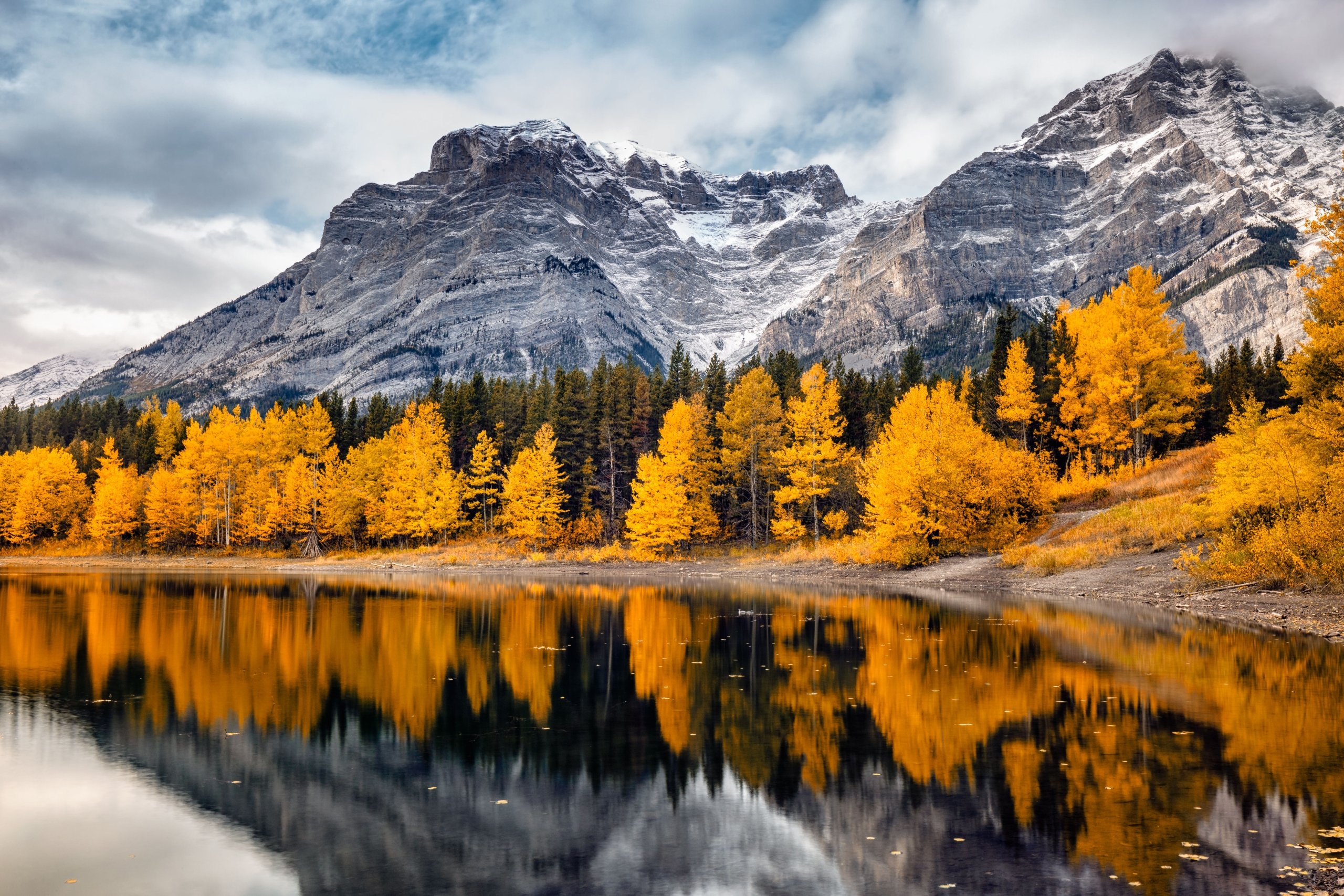 The Best Larch Hikes In Alberta Fairmont Banff Springs